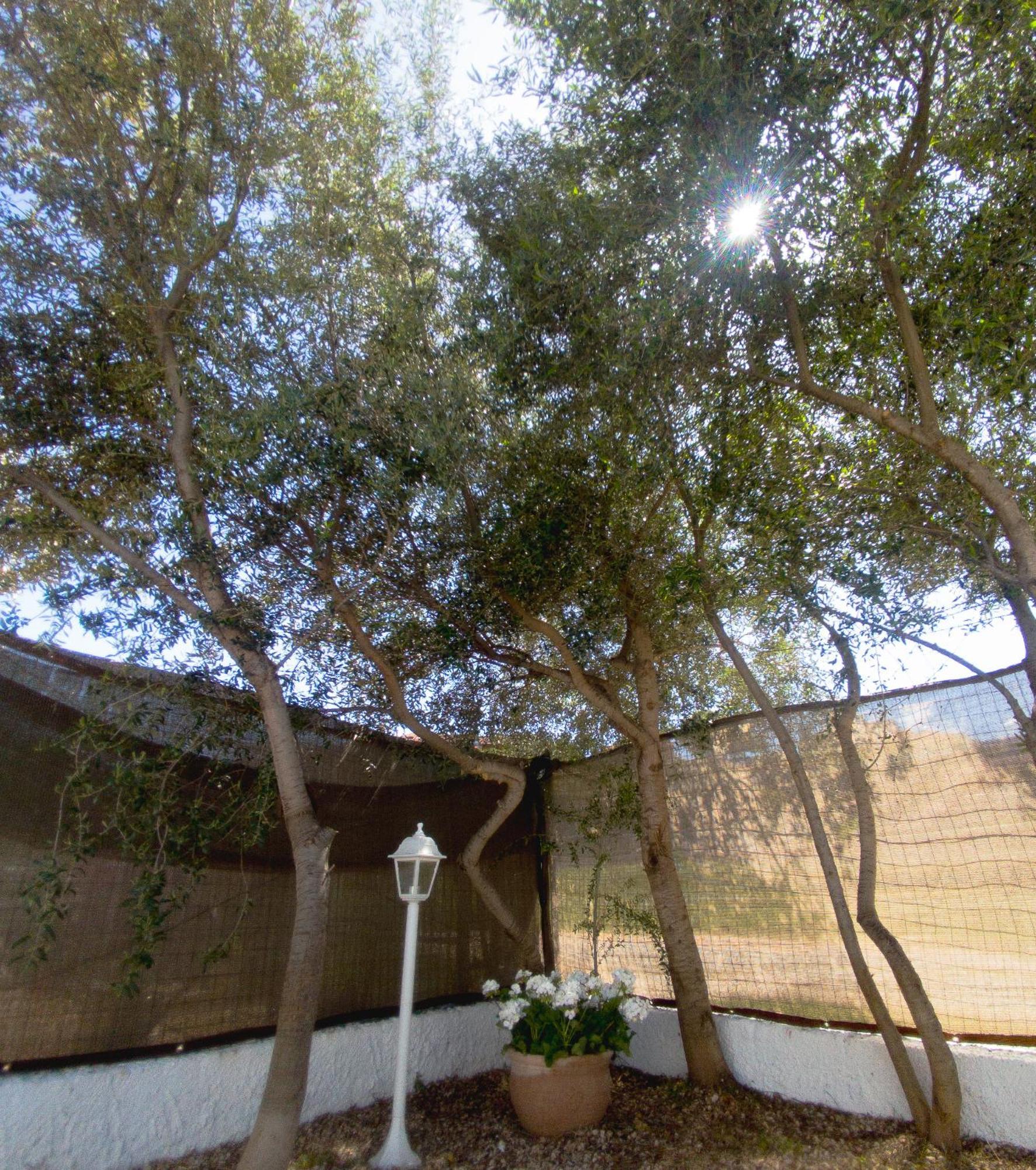 Appartement Dimora Mare à San Teodoro  Extérieur photo
